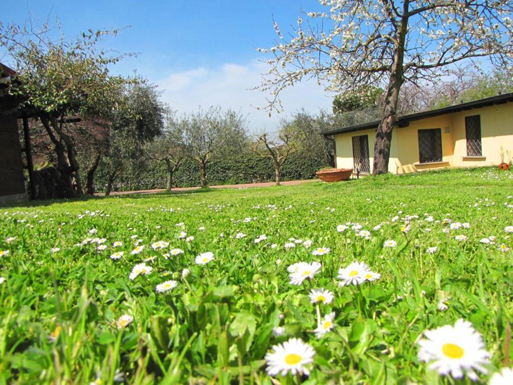 B&B Ai Glicini - Castelli Romani Marino Luaran gambar