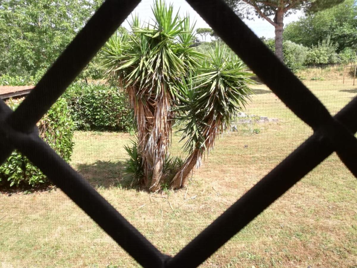 B&B Ai Glicini - Castelli Romani Marino Luaran gambar