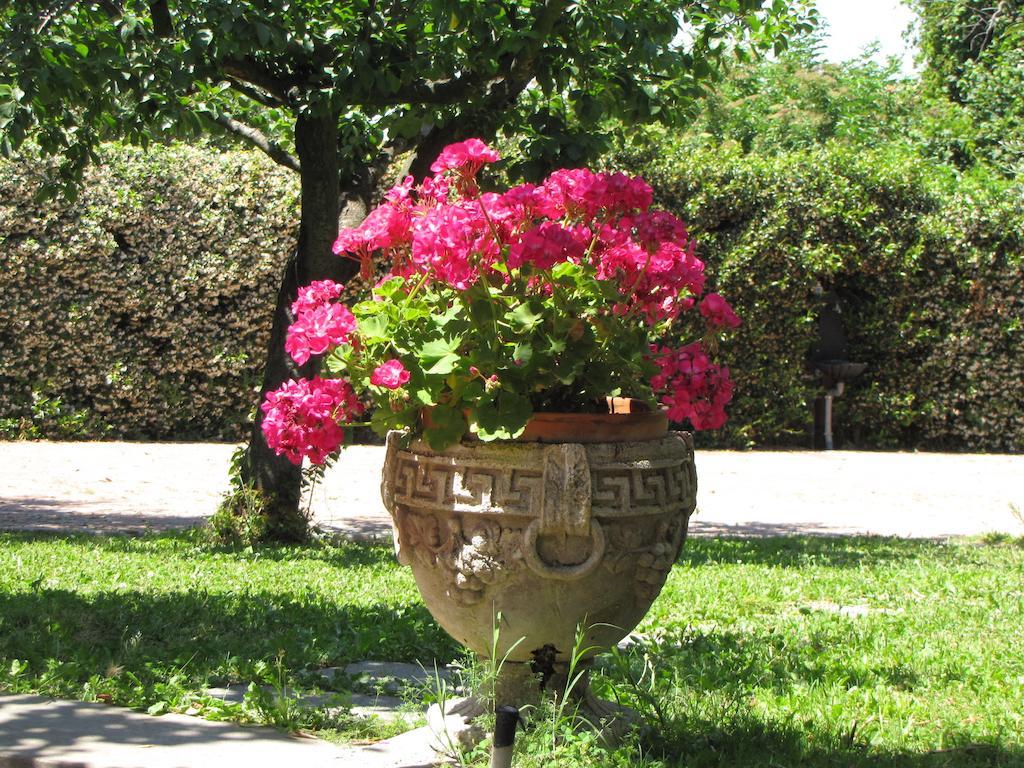 B&B Ai Glicini - Castelli Romani Marino Luaran gambar