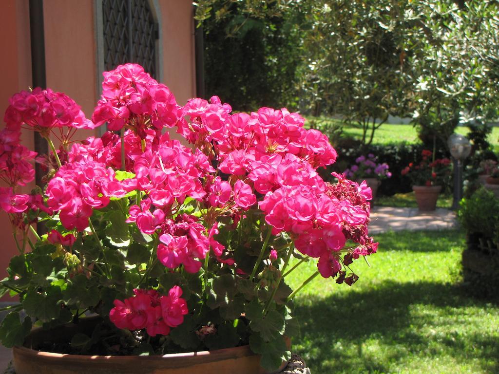 B&B Ai Glicini - Castelli Romani Marino Luaran gambar